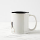Buscar perrito del beagle tazas Animal