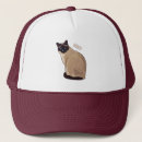 Buscar siamés gorras 9 º gata