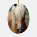 Buscar imágenes del caballo adornos Caballos