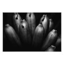 Buscar grupos de alimentos posters 8 º fruta