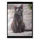 Buscar samantha postales Tarjeta