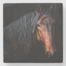 Buscar caballo posavasos Animal