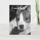 Buscar akc tarjetas Terrier