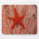 Buscar estrella mar de alfombrillas de raton Coral