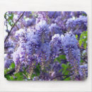 Buscar glicinias alfombrillas de raton Flor