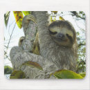 Buscar bigote lindo alfombrillas de raton Para todos