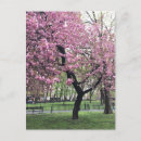 Buscar bonito postales Árbol