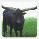 Buscar toros pegatinas Niños
