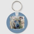 Buscar pit llaveros Perro