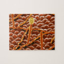 Buscar biología puzzles Botánica