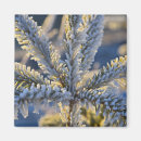 Buscar perenne imanes Invierno