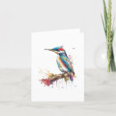 Buscar carpintero tarjetas Pájaro