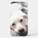 Buscar acercamiento fundas Hermoso