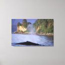 Buscar ballenas lienzos Orilla