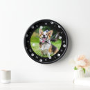 Buscar gato blanco y negro relojes de pared Perro