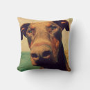 Buscar doberman cojines Perro