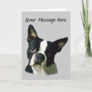Buscar terrier tarjetas Perro
