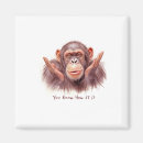 Buscar chimpancé imanes Humor
