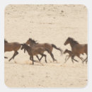 Buscar namibia pegatinas Desierto