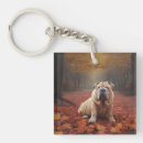 Buscar shar pei llaveros Para todos