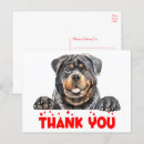 Buscar rottie tarjetas Cachorro