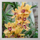 Buscar orquídeas exóticas posters General y unisex