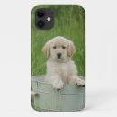 Buscar cuenca iphone fundas Perro