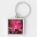Buscar orquídea llaveros Naturaleza