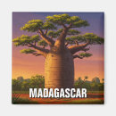 Buscar baobab imanes Viajar