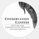 Buscar canina pegatinas Vida silvestre