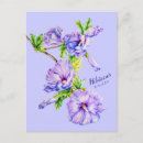 Buscar hibiscus postales Verde