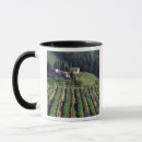 Buscar villa tazas Vista