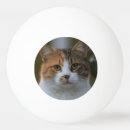Buscar diy pelotas de ping pong Crea tu propia foto