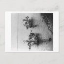 Buscar pesca postales Fotografía