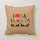 Buscar dachshunds Blanqueador