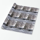 Buscar canal papel de regalo Barcaza