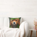 Buscar labrador cojines Cachorro