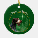 Buscar alem casa hogar Navidades