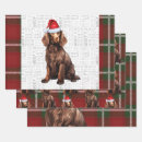 Buscar español papel de regalo General y unisex