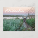 Buscar amor animal postales Rosa