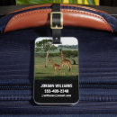 Buscar giraffe etiquetas para maletas Cuello largo