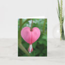 Buscar corazón sangrante tarjetas Rosa