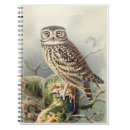 Buscar búho del vintage libretas Naturaleza