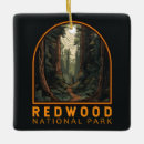 Buscar leña adornos Parque nacional de redwood