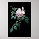 Buscar estampado de flores posters Rosa