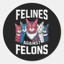 Buscar felines pegatinas América