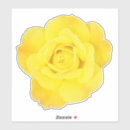 Buscar día de la amistad pegatinas General y unisex