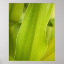 Buscar ambiente posters Exterior