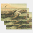 Buscar paisaje marino papel de regalo Costa