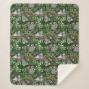 Buscar koala mantas Australia